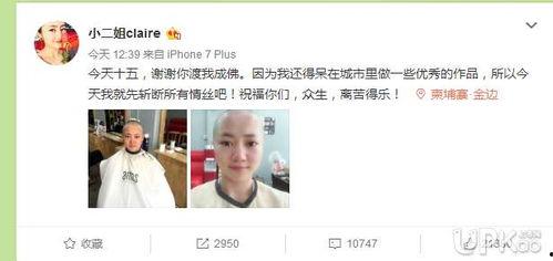 小二姐claire背景